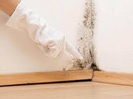 Best Residential Mold Inspection & Testing  in Clarks Green, PA